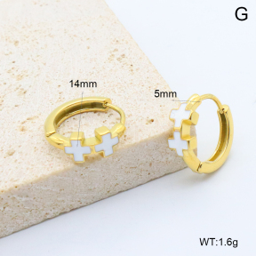 6E3002743bbpi-209  Stainless Steel Earrings