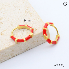 6E3002744bbpi-209  Stainless Steel Earrings