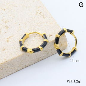 6E3002745bbpi-209  Stainless Steel Earrings