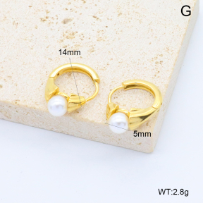 6E3002746abol-209  Stainless Steel Earrings