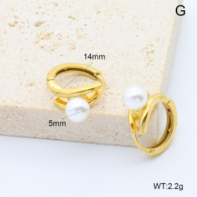 6E3002747abol-209  Stainless Steel Earrings