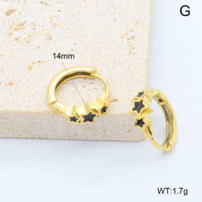 6E3002748bbpi-209  Stainless Steel Earrings