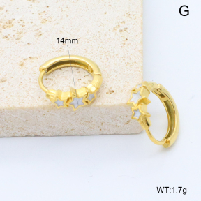 6E3002749bbpi-209  Stainless Steel Earrings