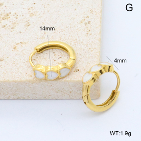 6E3002750bbpi-209  Stainless Steel Earrings
