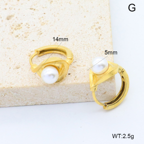 6E3002752abol-209  Stainless Steel Earrings