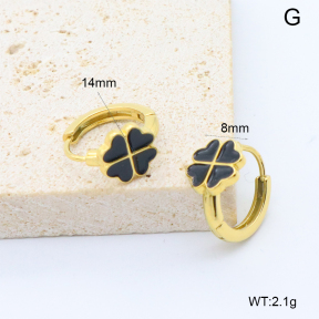 6E3002754bbpi-209  Stainless Steel Earrings