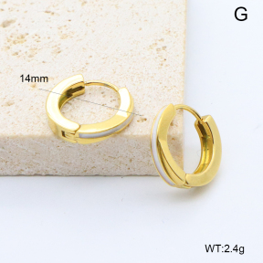 6E3002755bbpi-209  Stainless Steel Earrings