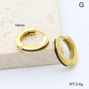 6E3002757bbpi-209  Stainless Steel Earrings