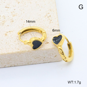 6E3002760bbpi-209  Stainless Steel Earrings