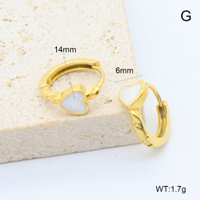 6E3002761bbpi-209  Stainless Steel Earrings