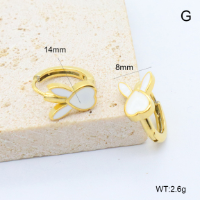 6E3002762bbpi-209  Stainless Steel Earrings