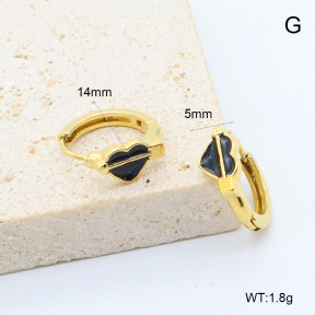 6E3002764bbpi-209  Stainless Steel Earrings