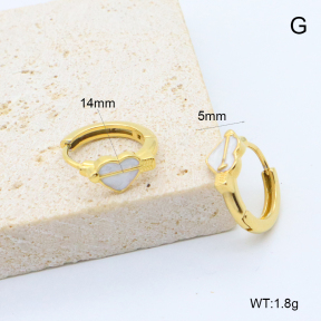6E3002765bbpi-209  Stainless Steel Earrings