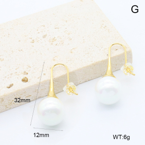 6E3002768bhbo-209  Stainless Steel Earrings