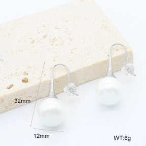 6E3002769bhbj-209  Stainless Steel Earrings