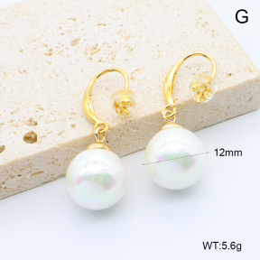 6E3002770bbpo-209  Stainless Steel Earrings