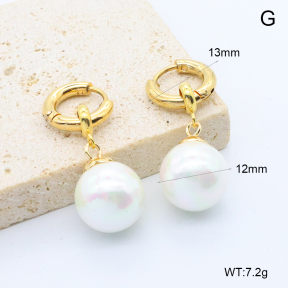 6E3002771bbpo-209  Stainless Steel Earrings