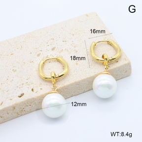 6E3002773bhbo-209  Stainless Steel Earrings