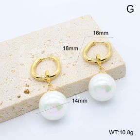 6E3002774bhho-209  Stainless Steel Earrings