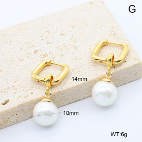 6E3002775bhbo-209  Stainless Steel Earrings