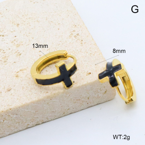 6E3002776bbpi-209  Stainless Steel Earrings