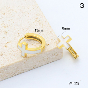 6E3002777bbpi-209  Stainless Steel Earrings