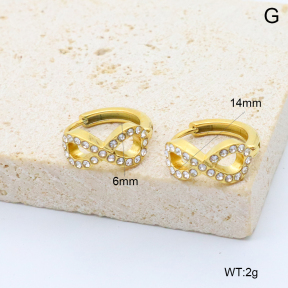 6E4004518bbpm-209  Stainless Steel Earrings