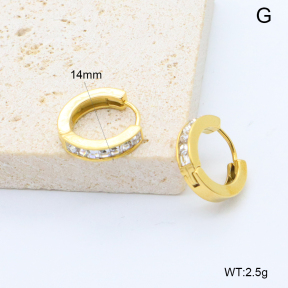6E4004520abol-209  Stainless Steel Earrings