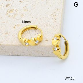 6E4004522bbom-209  Stainless Steel Earrings