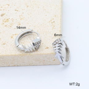 6E4004523bboj-209  Stainless Steel Earrings