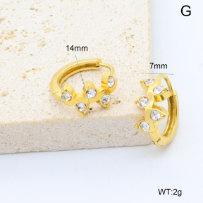 6E4004526abol-209  Stainless Steel Earrings
