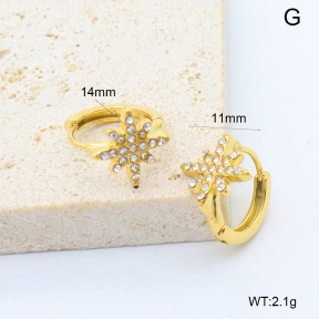 6E4004527bboo-209  Stainless Steel Earrings