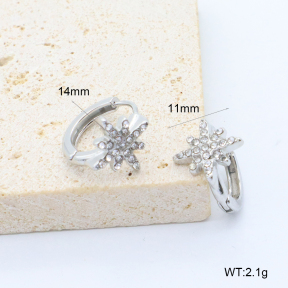 6E4004528bboj-209  Stainless Steel Earrings