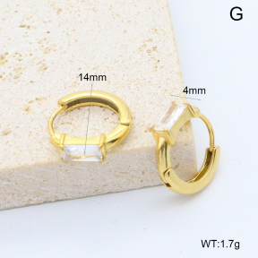 6E4004530bbop-209  Stainless Steel Earrings