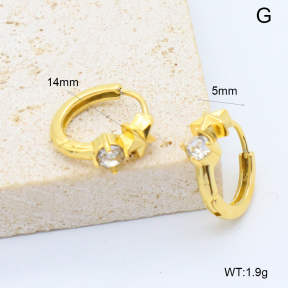 6E4004531bbom-209  Stainless Steel Earrings