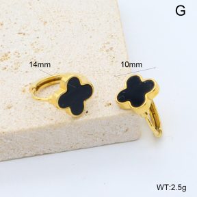 6E4004532bbpi-209  Stainless Steel Earrings