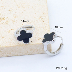 6E4004533bbpi-209  Stainless Steel Earrings