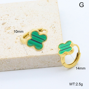 6E4004536bbpi-209  Stainless Steel Earrings