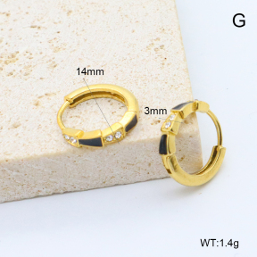 6E4004539bbpi-209  Stainless Steel Earrings