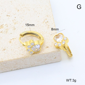 6E4004542bbpi-209  Stainless Steel Earrings