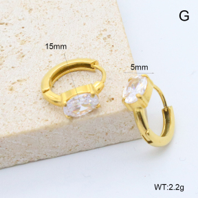 6E4004544bbop-209  Stainless Steel Earrings