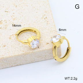 6E4004545bbop-209  Stainless Steel Earrings