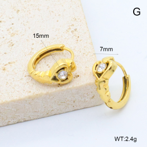 6E4004546bboi-209  Stainless Steel Earrings
