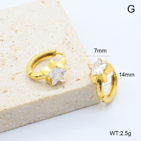 6E4004551bbpm-209  Stainless Steel Earrings