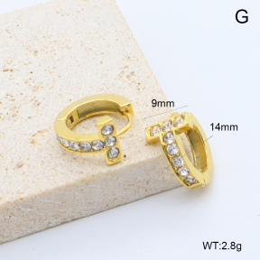 6E4004552bboo-209  Stainless Steel Earrings