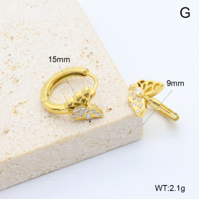 6E4004554bbpi-209  Stainless Steel Earrings