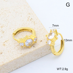 6E4004555bboo-209  Stainless Steel Earrings