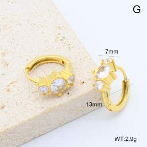 6E4004556bboo-209  Stainless Steel Earrings