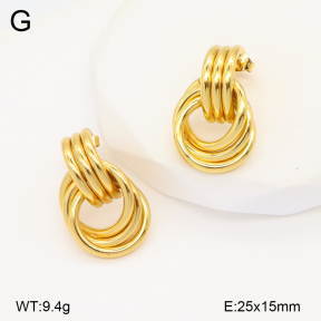 2E2005813baka-703  Stainless Steel Earrings