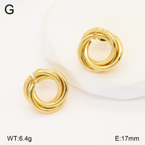 2E2005815aajo-703  Stainless Steel Earrings